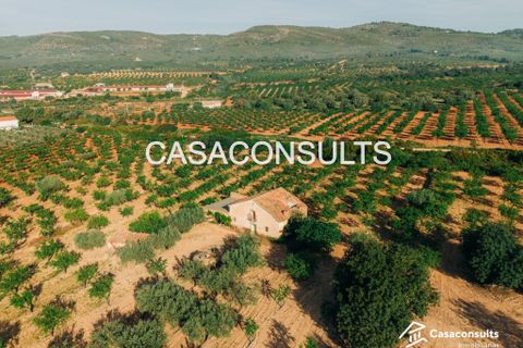 Landejendom i Les Useras, Castellon, Les Useras - € 66.000 | Ref: 293 - foto 4